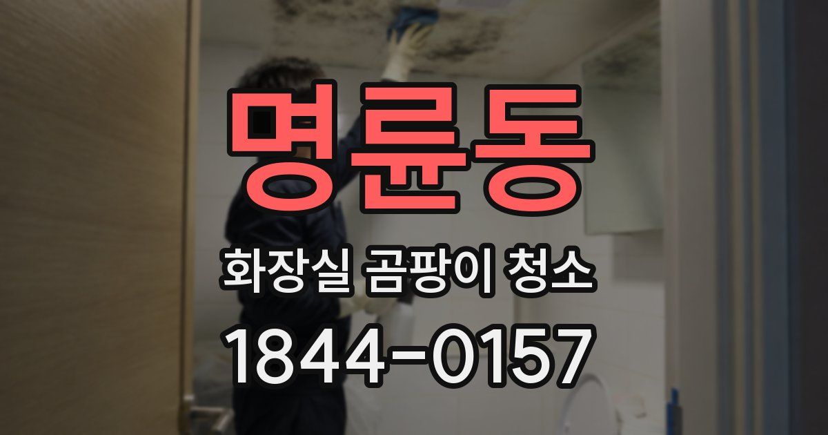 명륜동 화장실 곰팡이 청소
