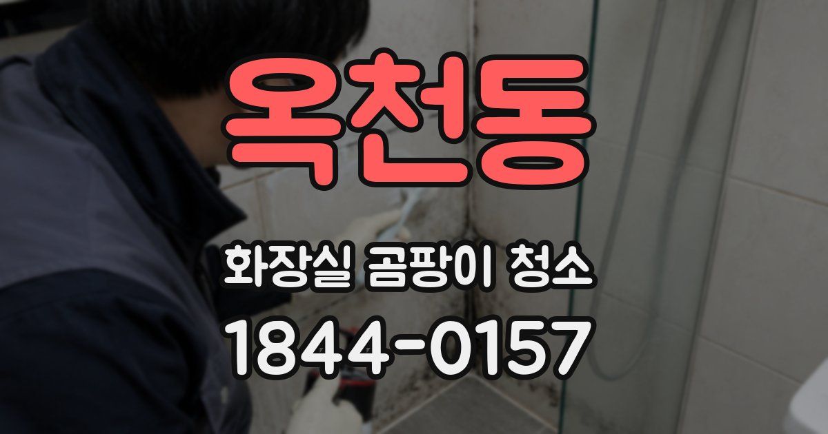 옥천동 화장실 곰팡이 청소