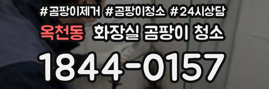 옥천동 화장실 곰팡이 청소