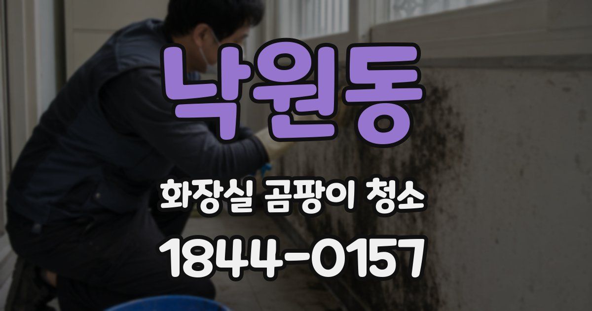 낙원동 화장실 곰팡이 청소