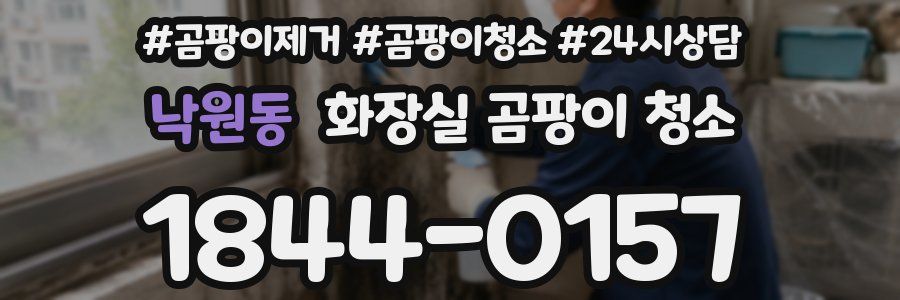 낙원동 화장실 곰팡이 청소