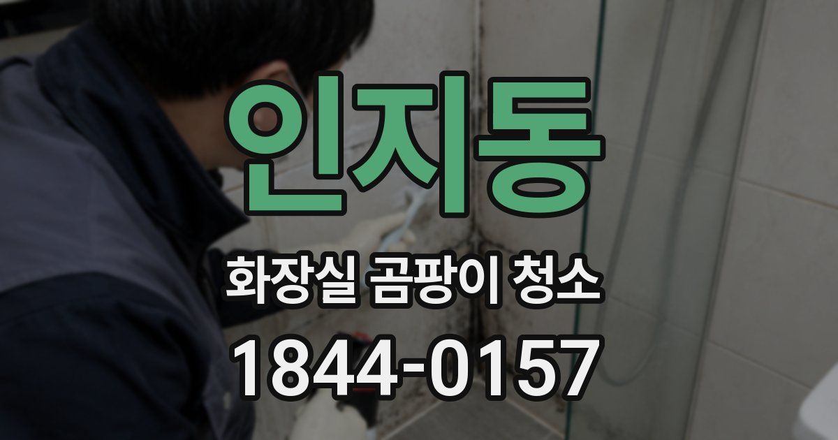 인지동 화장실 곰팡이 청소