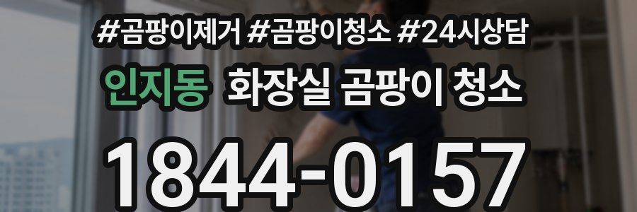 인지동 화장실 곰팡이 청소