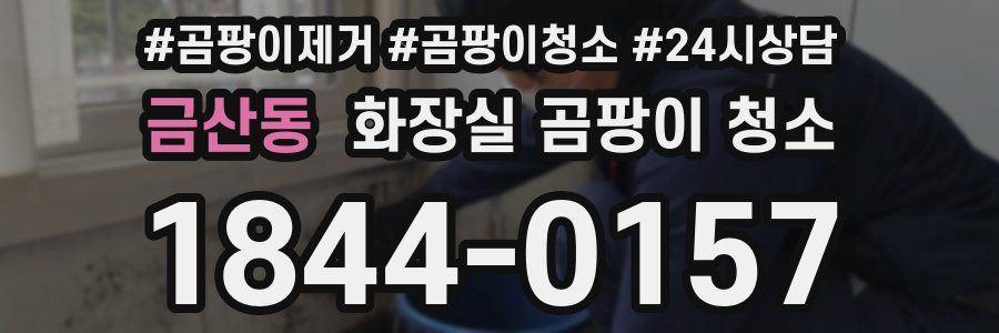 금산동 화장실 곰팡이 청소