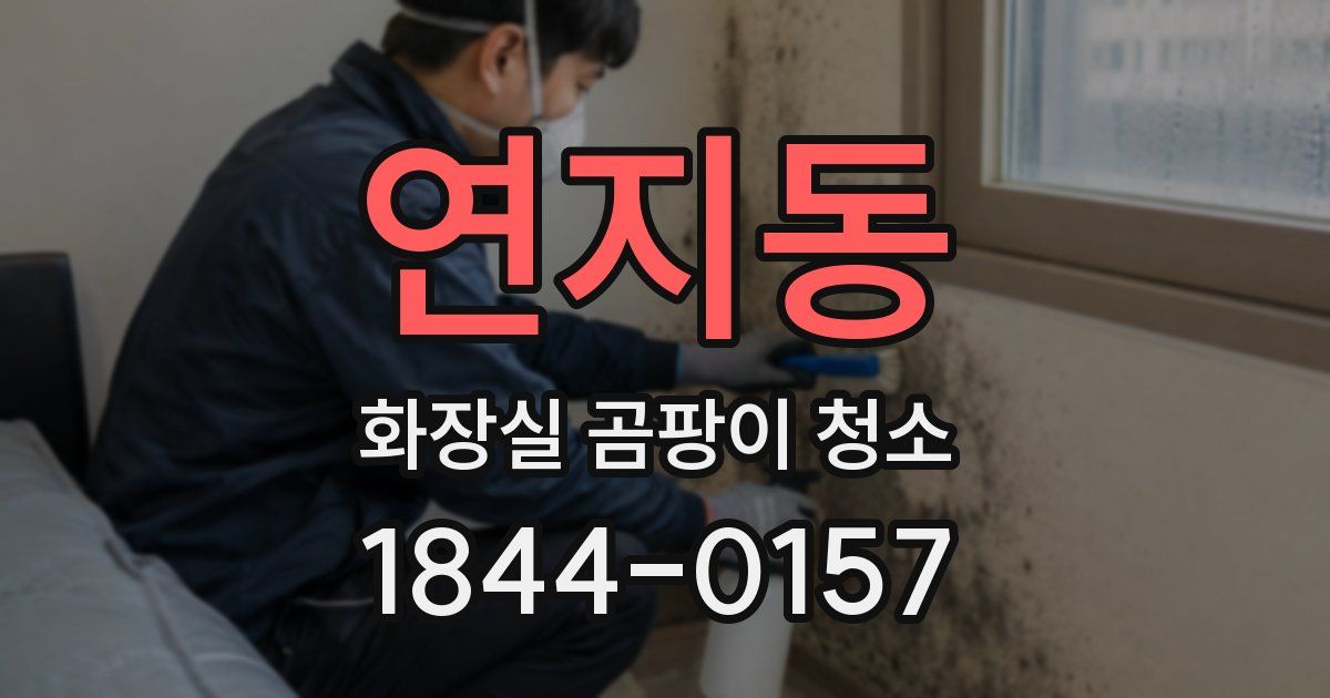 연지동 화장실 곰팡이 청소