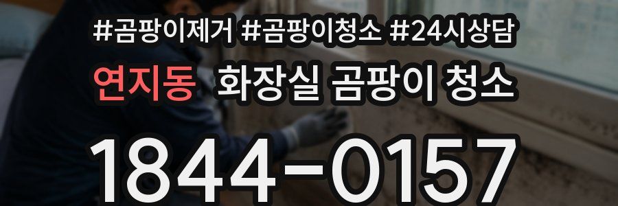 연지동 화장실 곰팡이 청소