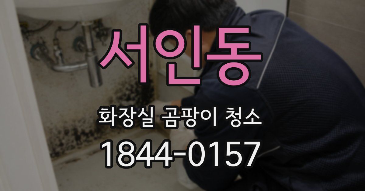 서인동 화장실 곰팡이 청소