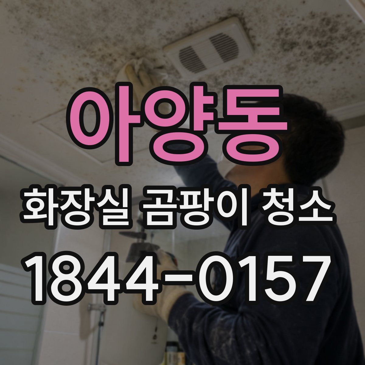 아양동 화장실 곰팡이 청소