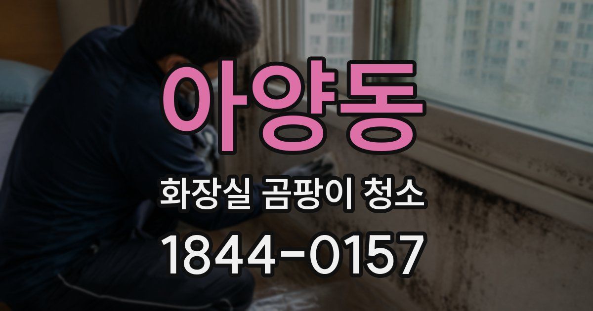 아양동 화장실 곰팡이 청소