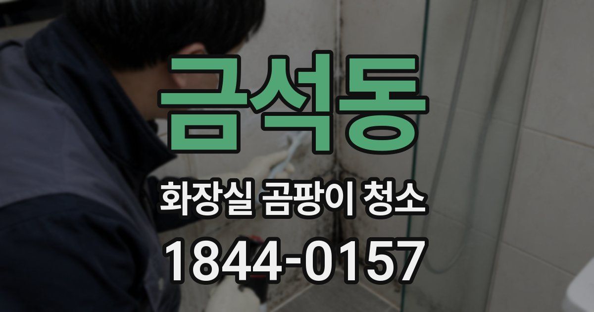 금석동 화장실 곰팡이 청소