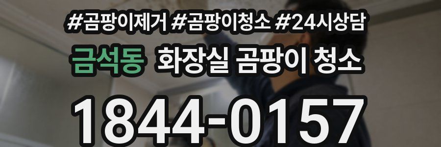 금석동 화장실 곰팡이 청소