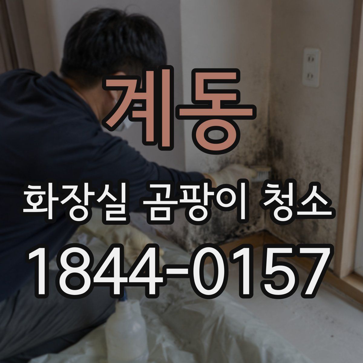 계동 화장실 곰팡이 청소