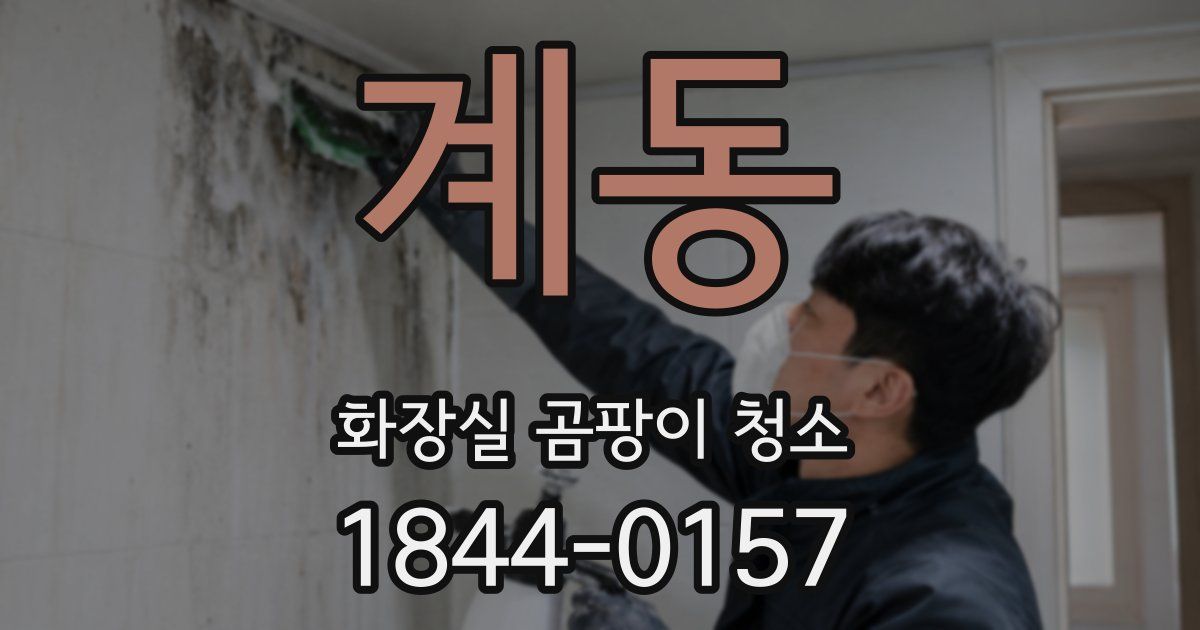계동 화장실 곰팡이 청소