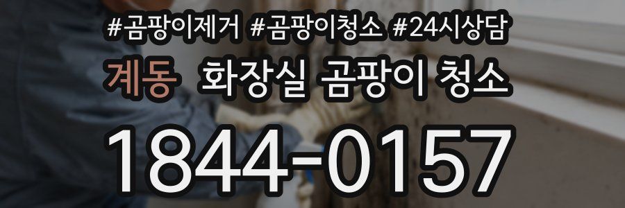 계동 화장실 곰팡이 청소