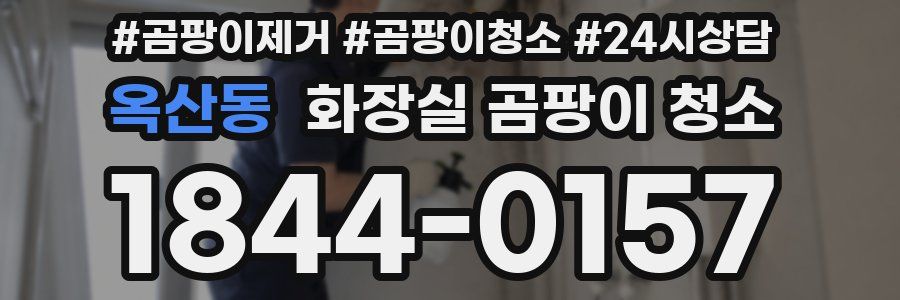 옥산동 화장실 곰팡이 청소