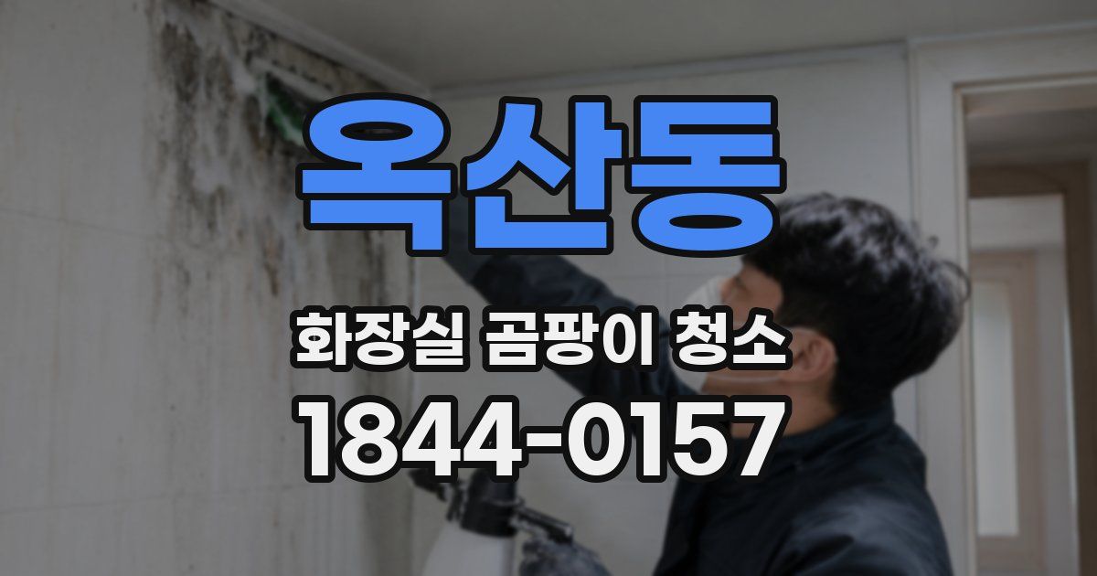 옥산동 화장실 곰팡이 청소