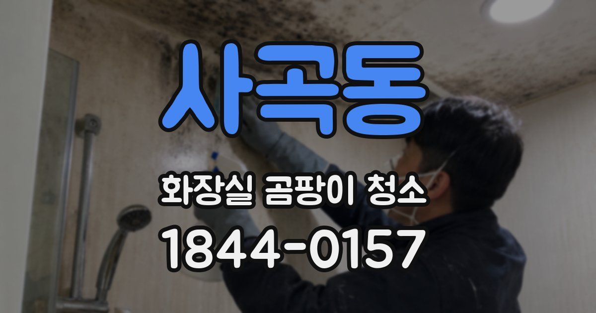 사곡동 화장실 곰팡이 청소