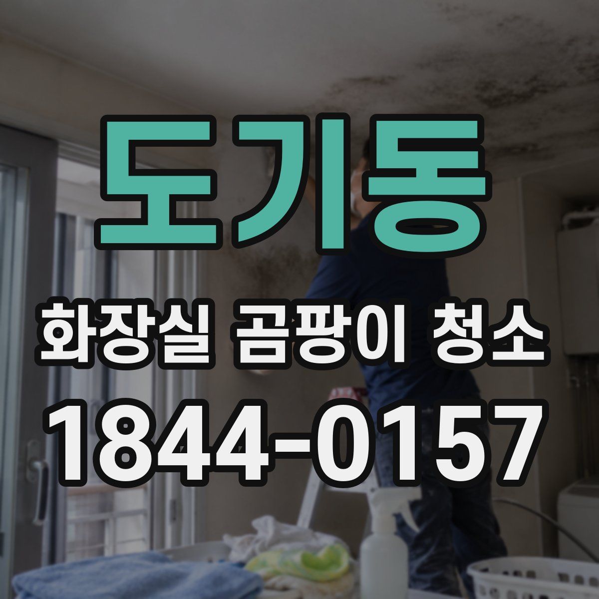 도기동 화장실 곰팡이 청소