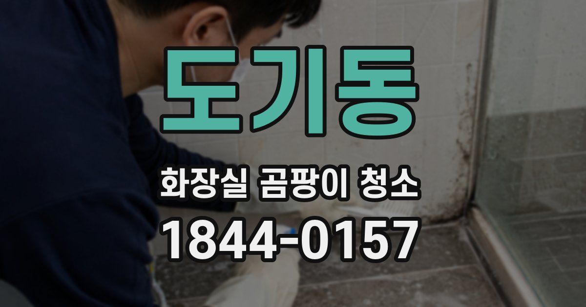 도기동 화장실 곰팡이 청소