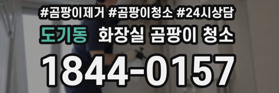 도기동 화장실 곰팡이 청소