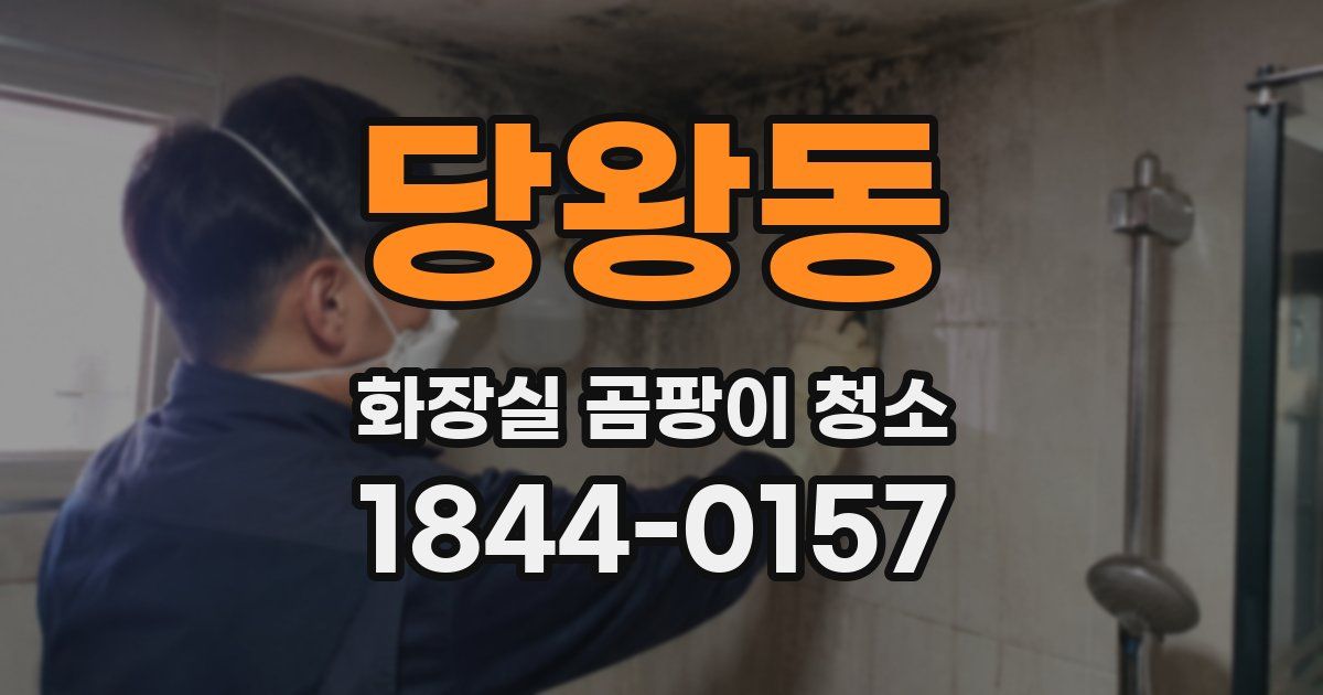 당왕동 화장실 곰팡이 청소