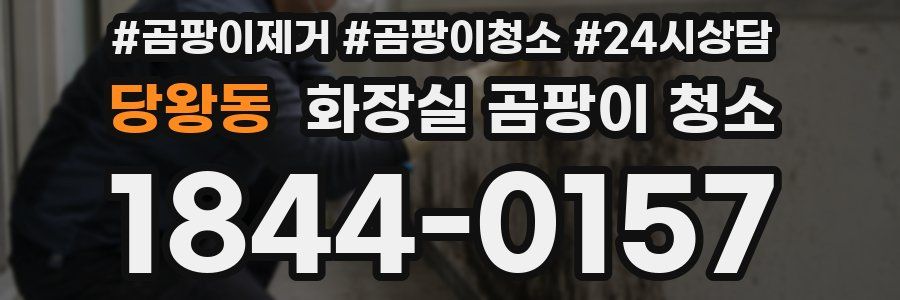 당왕동 화장실 곰팡이 청소