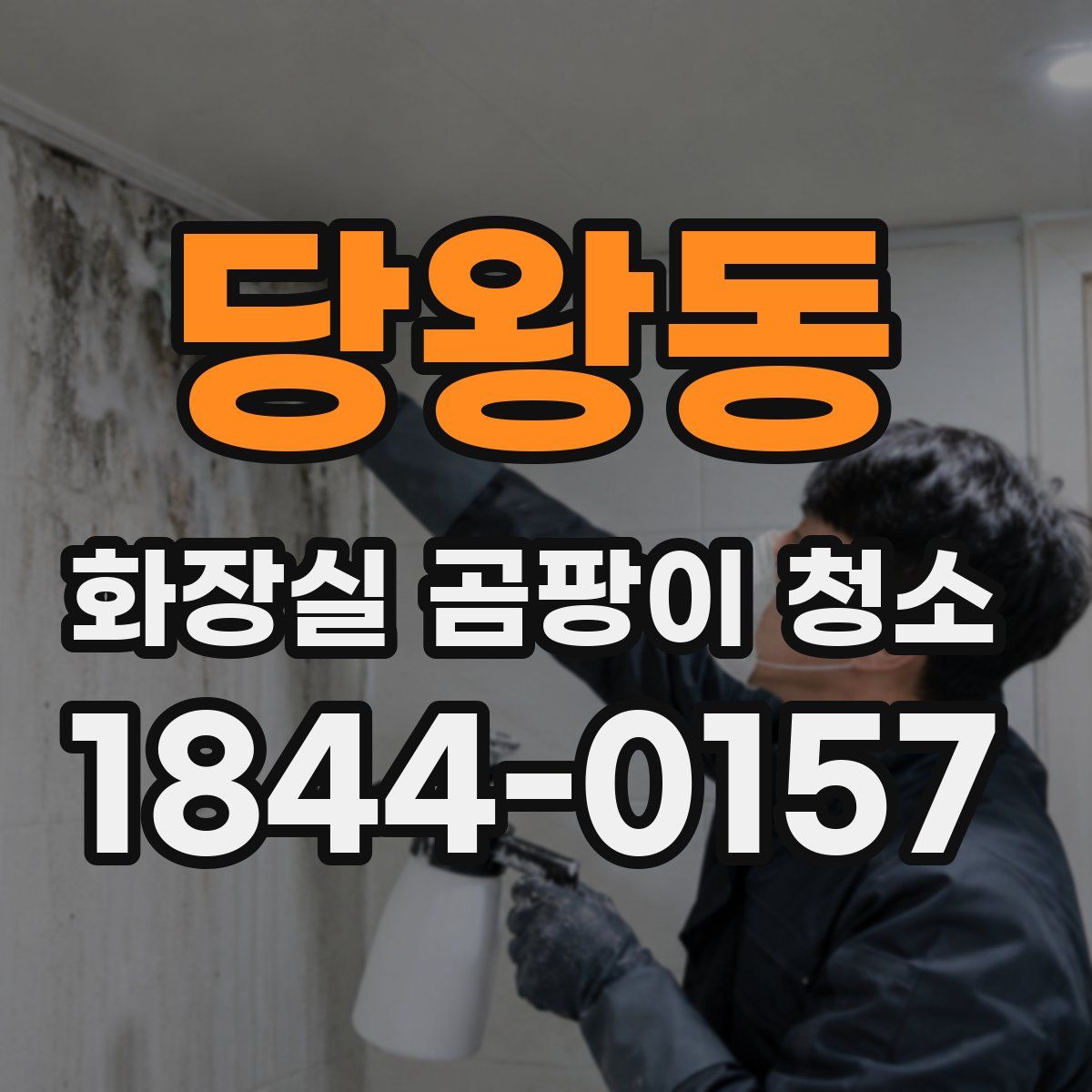 당왕동 화장실 곰팡이 청소