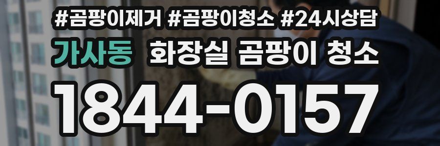 가사동 화장실 곰팡이 청소