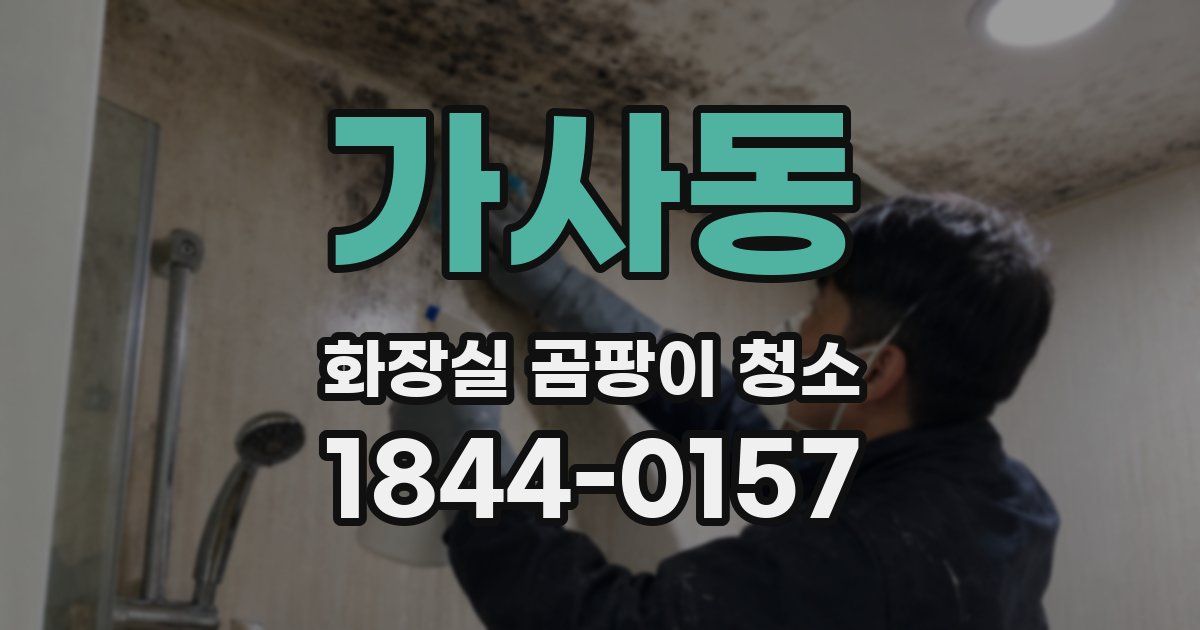 가사동 화장실 곰팡이 청소