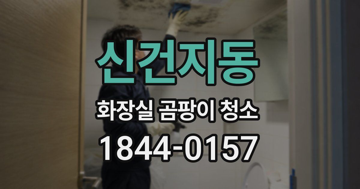 신건지동 화장실 곰팡이 청소