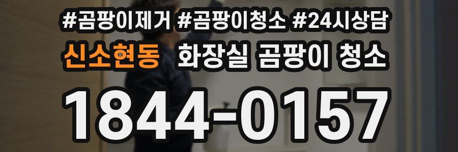 신소현동 화장실 곰팡이 청소