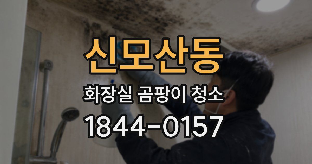 신모산동 화장실 곰팡이 청소