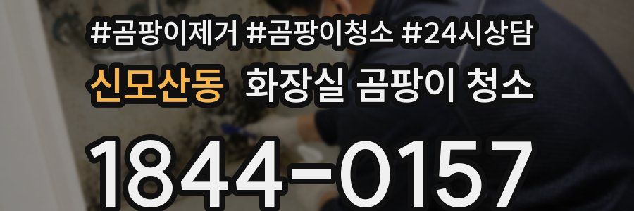 신모산동 화장실 곰팡이 청소