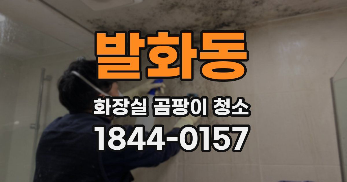 발화동 화장실 곰팡이 청소