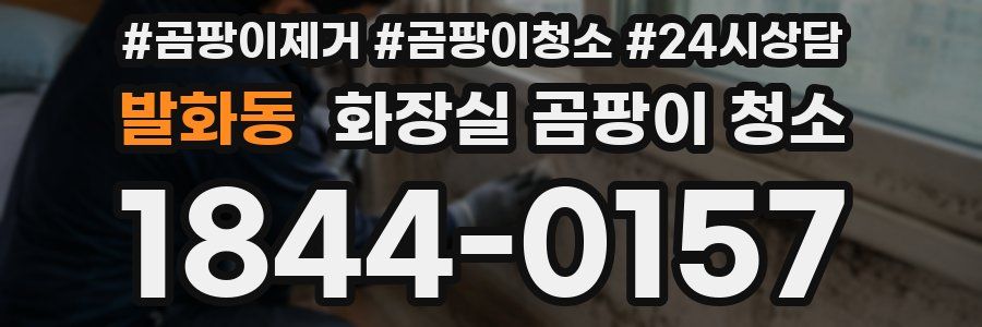 발화동 화장실 곰팡이 청소