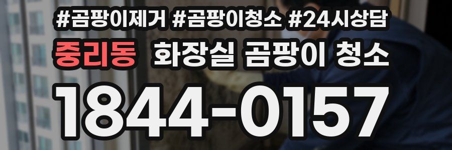 중리동 화장실 곰팡이 청소