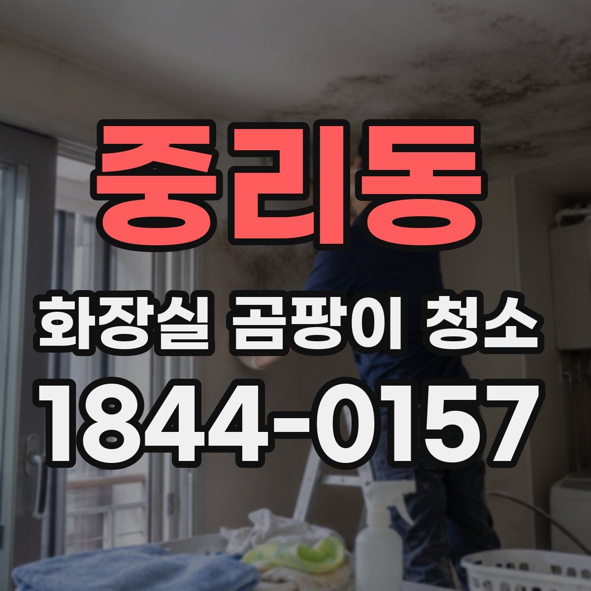 중리동 화장실 곰팡이 청소