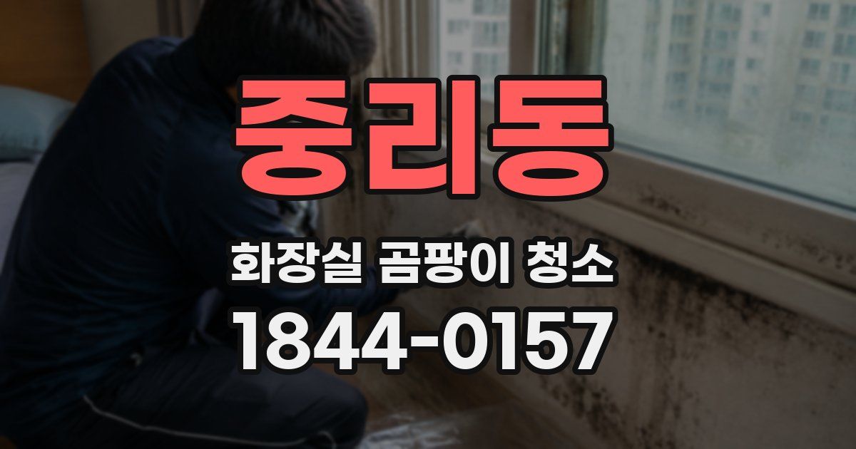 중리동 화장실 곰팡이 청소