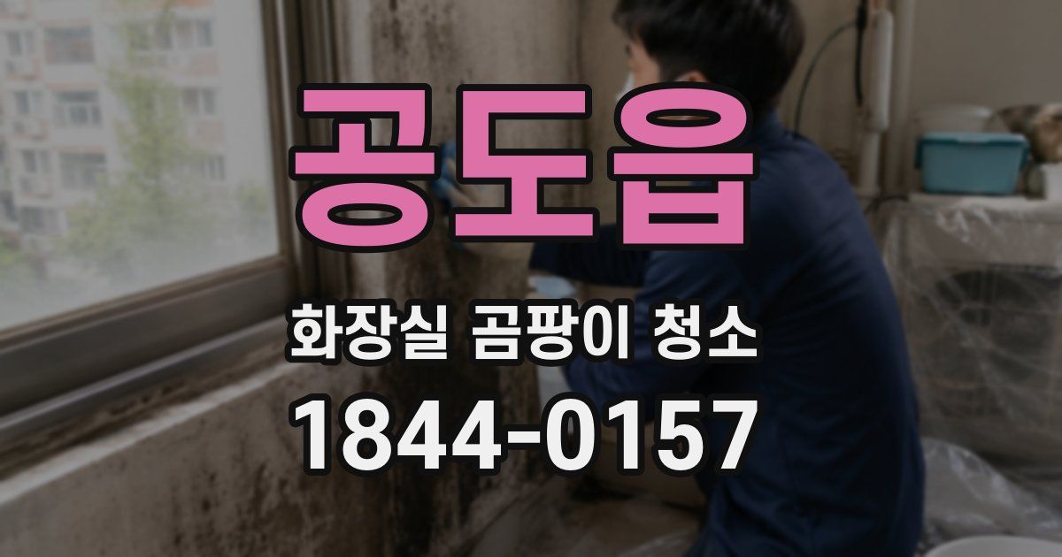 공도읍 화장실 곰팡이 청소