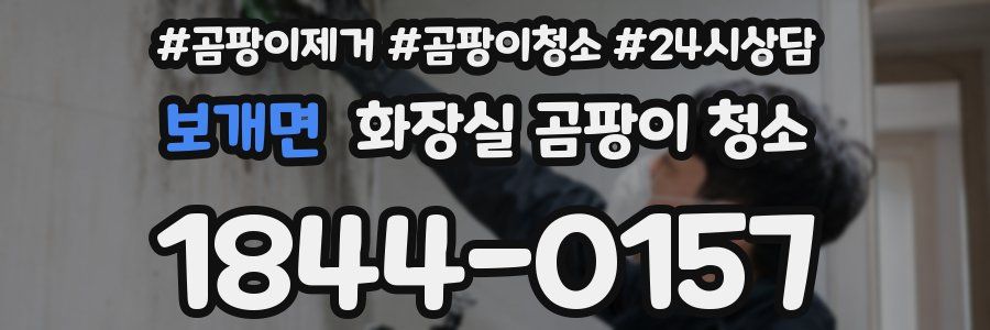 보개면 화장실 곰팡이 청소