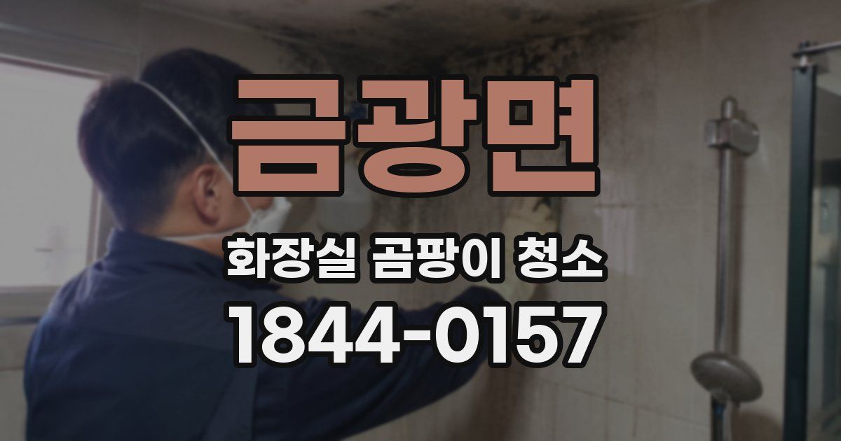 금광면 화장실 곰팡이 청소