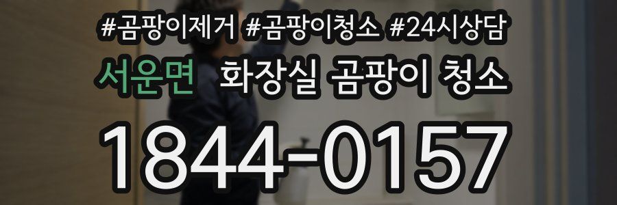 서운면 화장실 곰팡이 청소