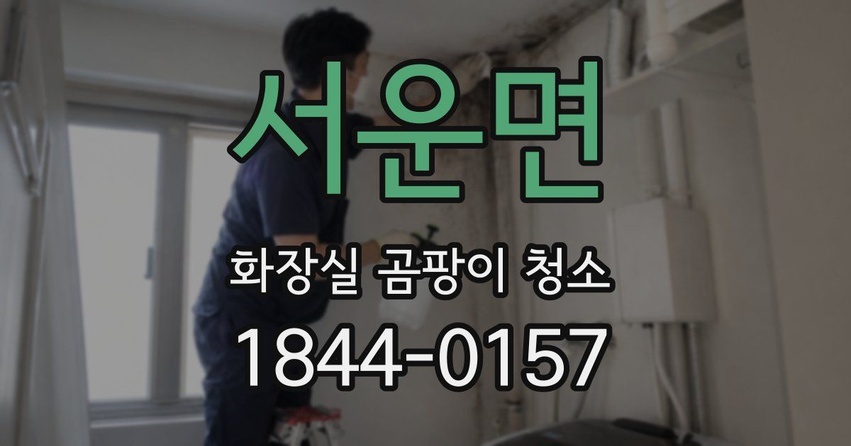 서운면 화장실 곰팡이 청소