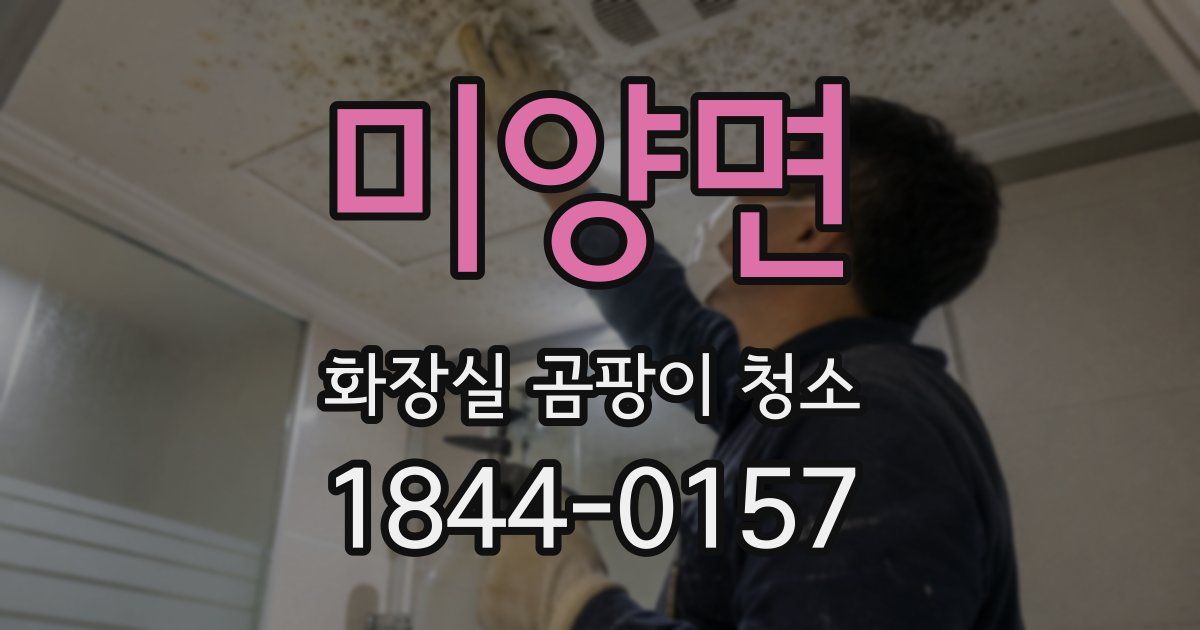 미양면 화장실 곰팡이 청소