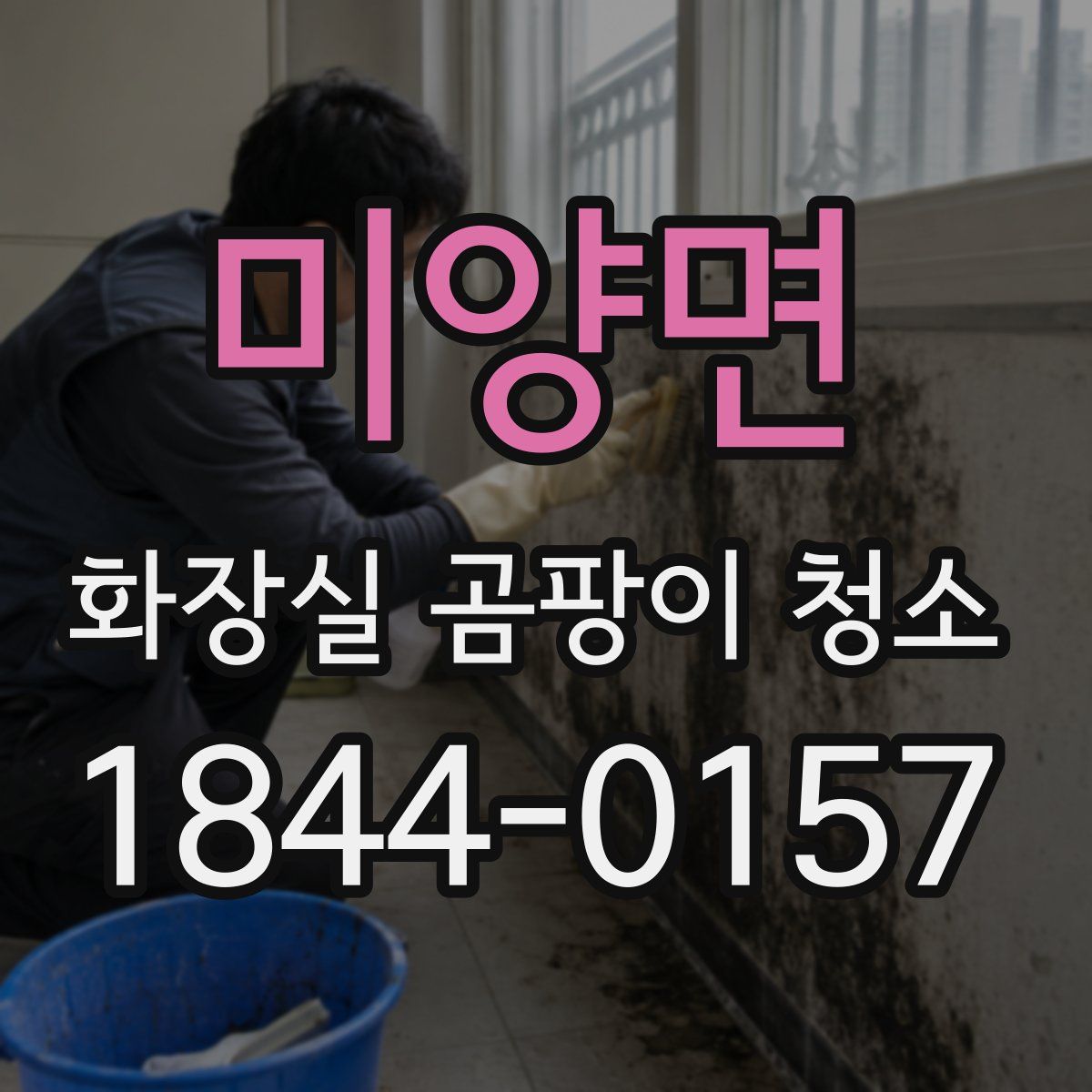 미양면 화장실 곰팡이 청소