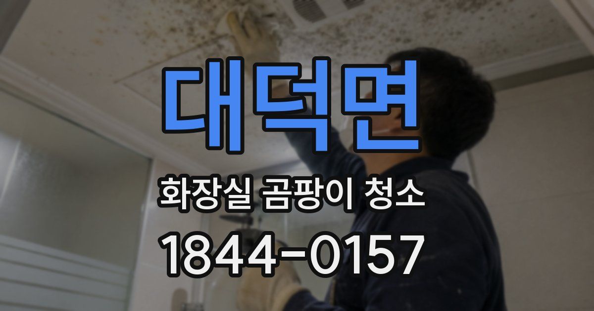 대덕면 화장실 곰팡이 청소
