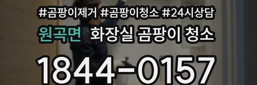 원곡면 화장실 곰팡이 청소