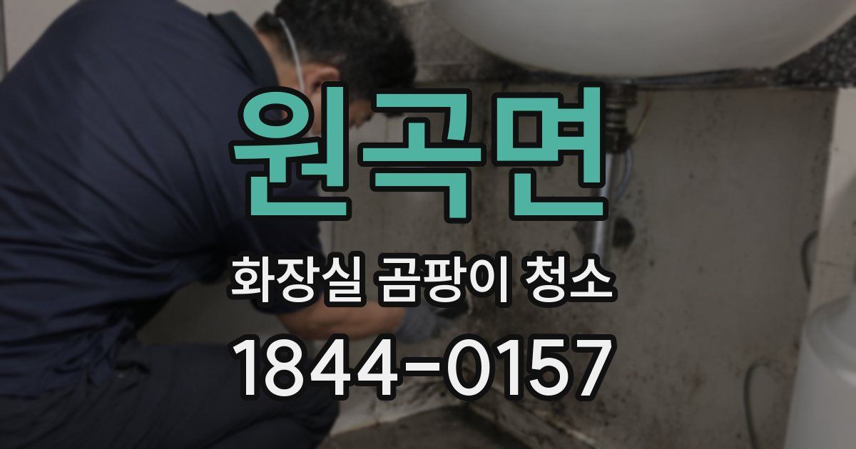 원곡면 화장실 곰팡이 청소