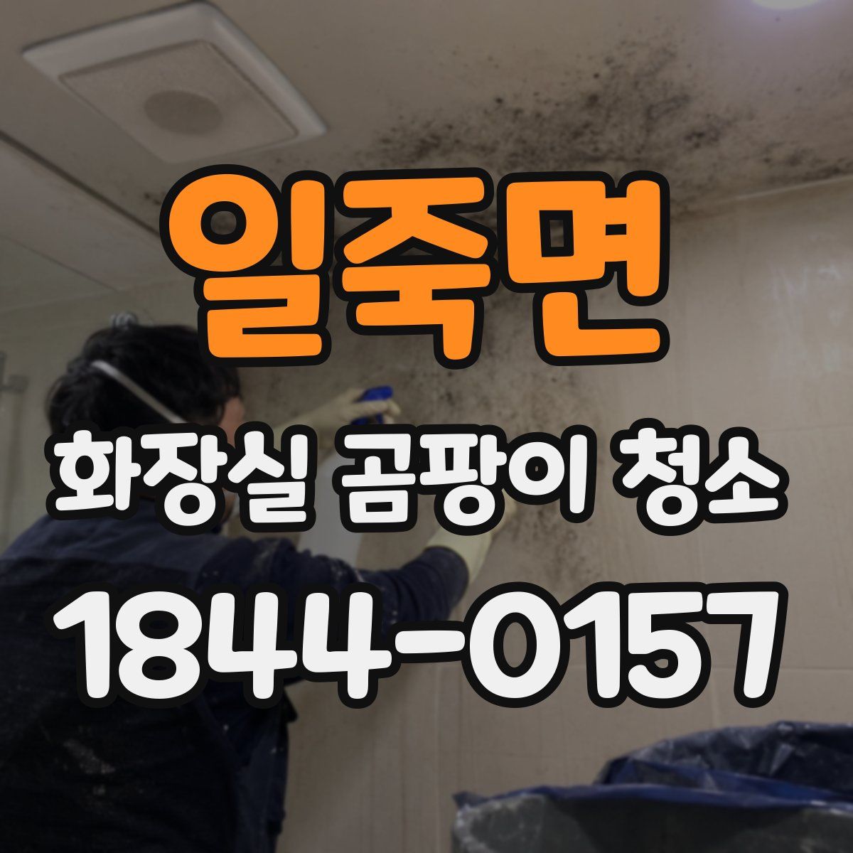 일죽면 화장실 곰팡이 청소