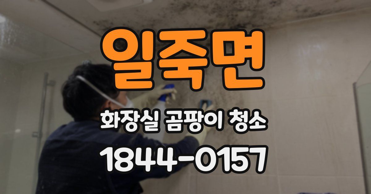 일죽면 화장실 곰팡이 청소